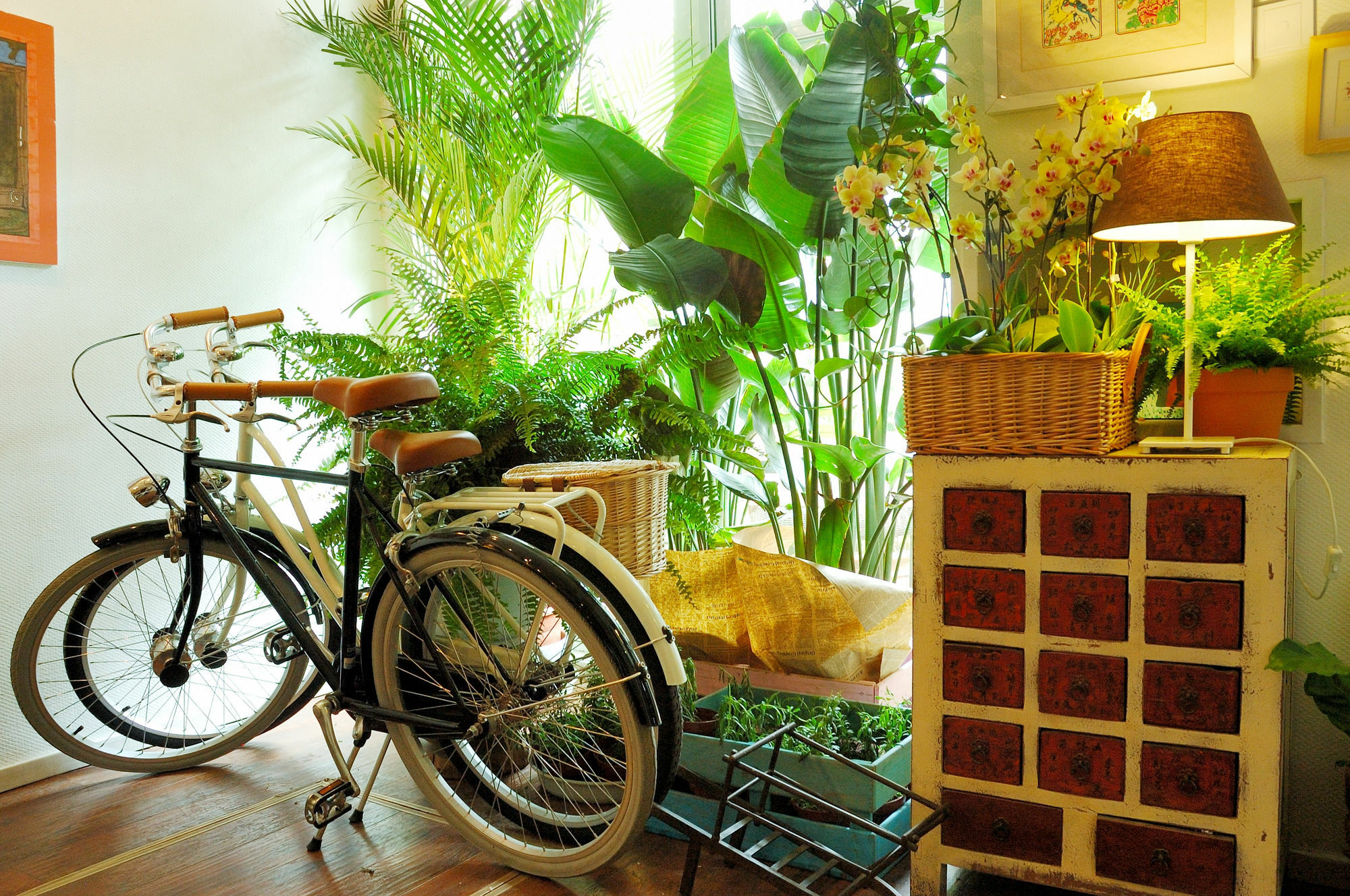 Hostel Youth Peking (Beijing)
